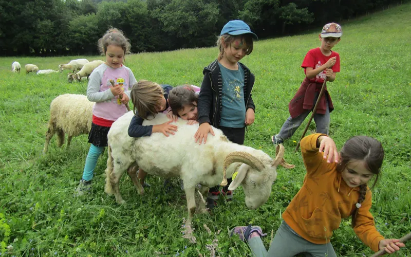 Mini colo à la ferme